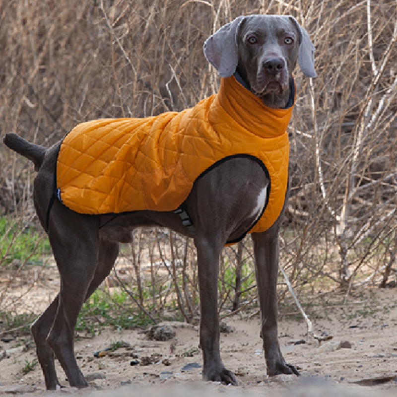 Amazon vente chaude Nouvelle animal de compagnie Vêtements chien Vêtements automne et hiver Épaissement Élastique Élastique Pull Pull Pull