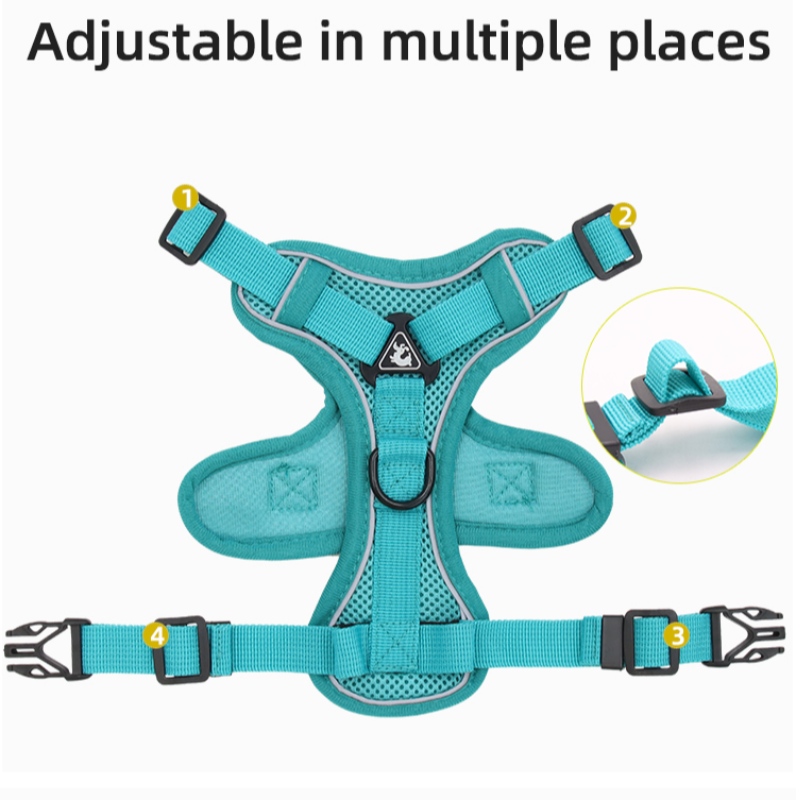 dog rope collar.jpg